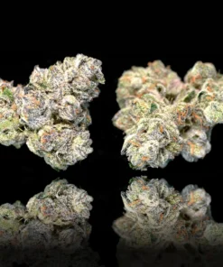 Black Diamond X Gold Blend