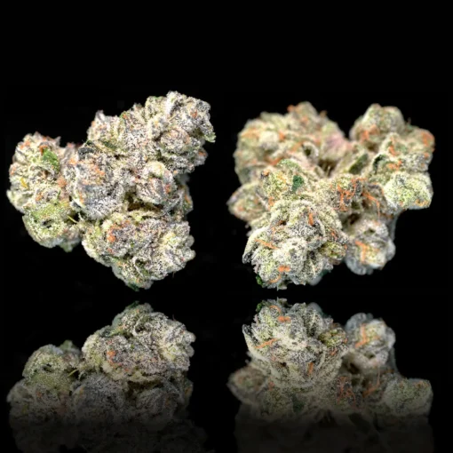 Black Diamond X Gold Blend