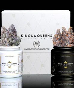 Maven Genetics Kings & Queens Collection