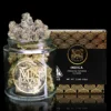 Maven Genetics Black Diamond X