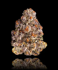 RS-X Premium Indoor Flower