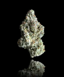 Maven Genetics Silver Iris OG