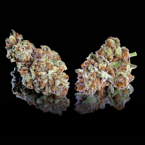 ZuZu Berry