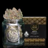 Maven Genetics Blue Lotus