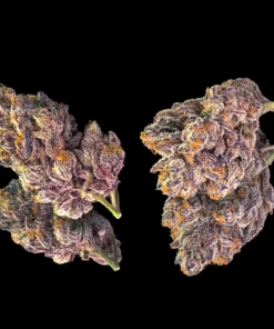 Opal Pre-Roll
