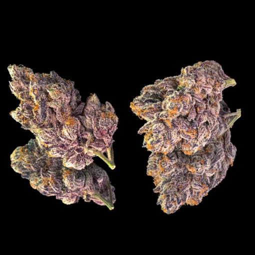 Opal Pre-Roll