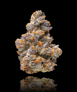 Orange Sapphire Gold Blend