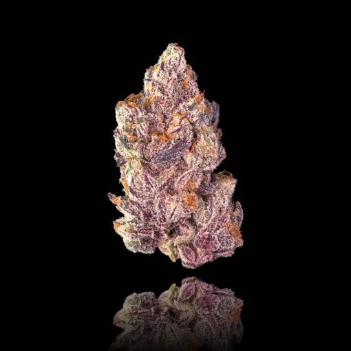 Opal Gold Blend