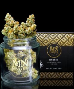 Maven Genetics SFV OG