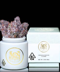 Maven Genetics Chrome Dome