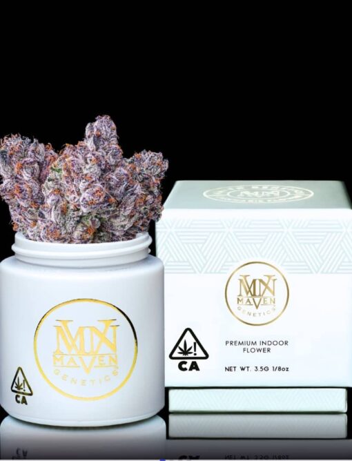 Maven Genetics Chrome Dome