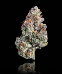 ZuZu Berry