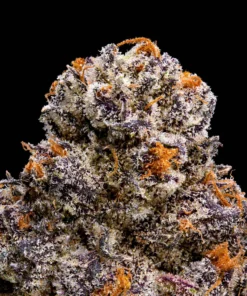 RS-X Premium Indoor Flower