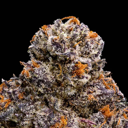 RS-X Premium Indoor Flower
