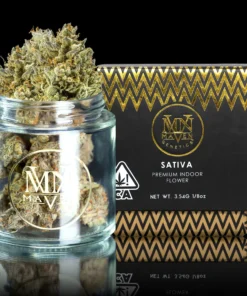 Maven Genetics Blueberry ZKZ