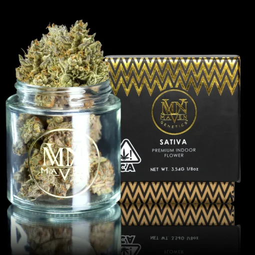Maven Genetics Blueberry ZKZ