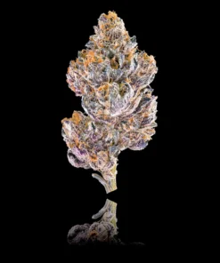 Grape Ambrosia Gold Blend