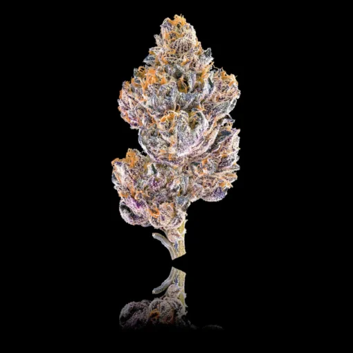 Grape Ambrosia Pre-Roll