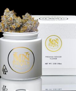 Maven Genetics Orange Bellini​