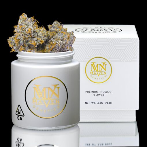 Maven Genetics Orange Bellini​