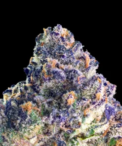 Maven Genetics Umami Butter