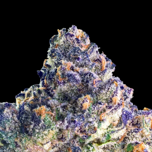 Maven Genetics Umami Butter