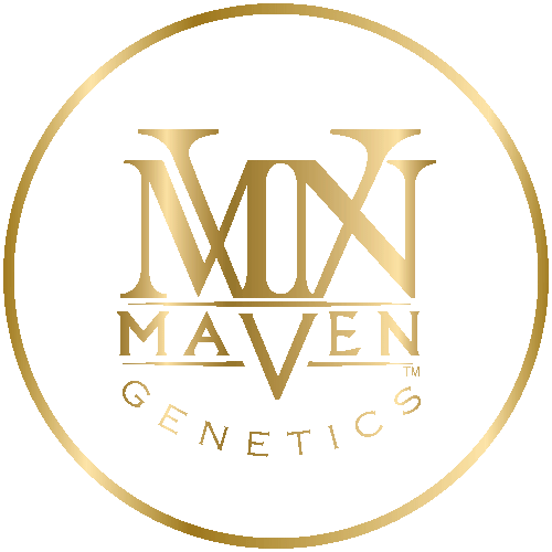 Maven Genetics 