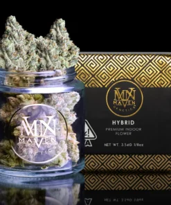 Maven Genetics Silver Iris OG
