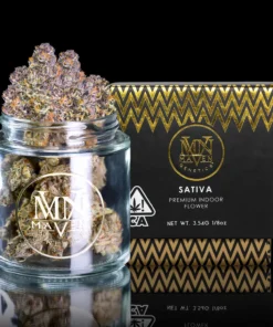 Maven Genetics Key Lime Jack