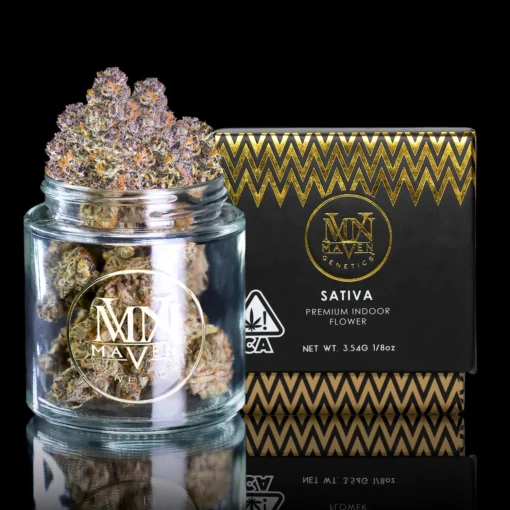 Maven Genetics Key Lime Jack