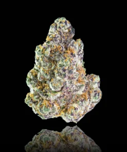 Maven Genetics Blue Lotus