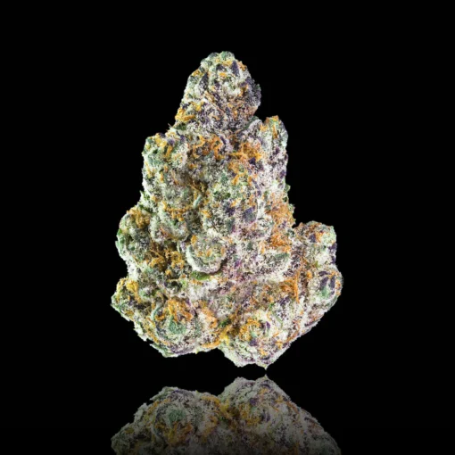 Maven Genetics Blue Lotus