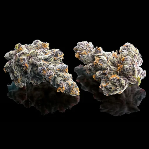 French Lotus Pre-Roll