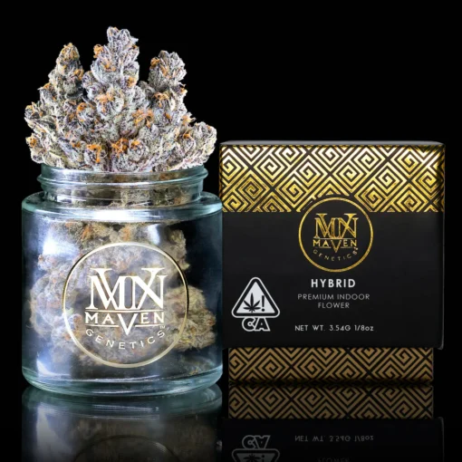 Maven Genetics French Lotus