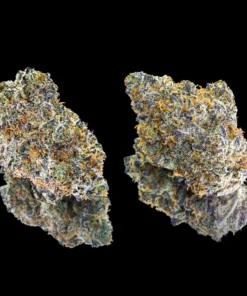 Orange Bellini Pre-Roll