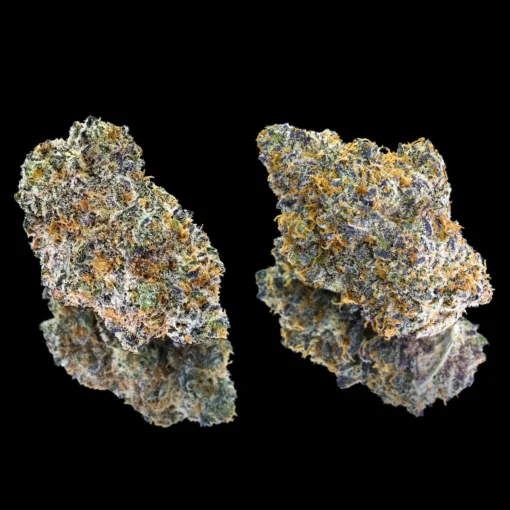 Orange Bellini Pre-Roll