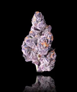 Panta Rhei Premium Indoor Flower