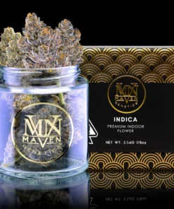 Maven Genetics Grape Ambrosia