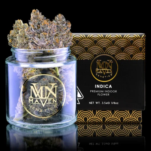 Maven Genetics Grape Ambrosia