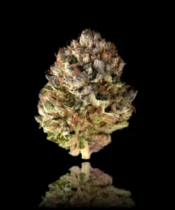 Pre-98 Bubba Kush