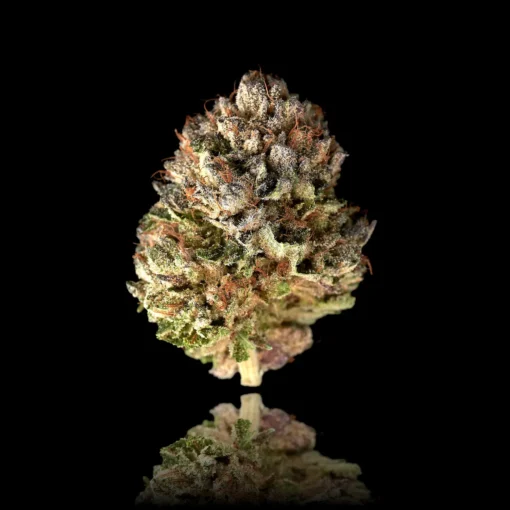 Pre-98 Bubba Kush