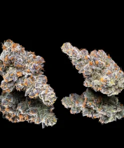 Orange Sapphire Pre-Roll