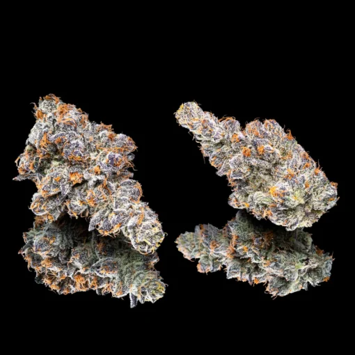 Orange Sapphire Pre-Roll