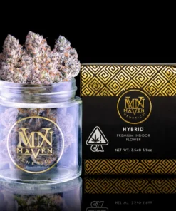 Maven Genetics Shangri-La