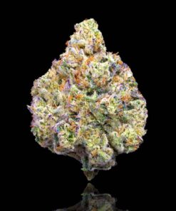 Maven Genetics R&D Strain