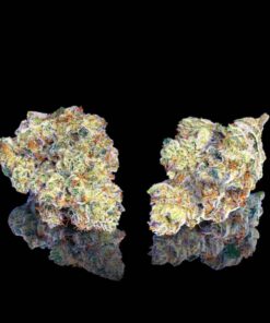 Maven Genetics R&D Strain